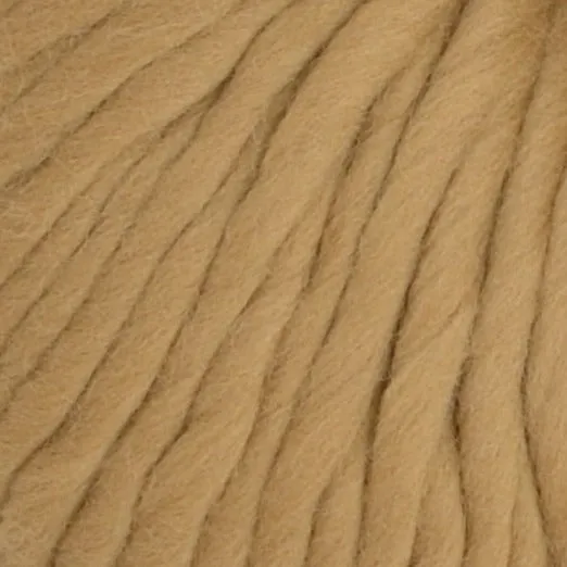 Crazy Sexy Wool - Brown Sugar