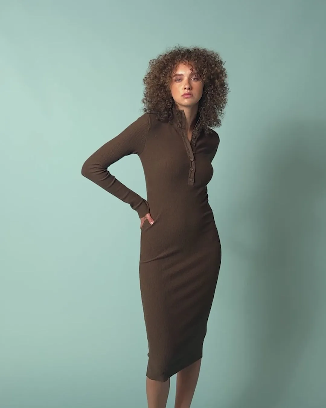 Phoebe Turtleneck Dress