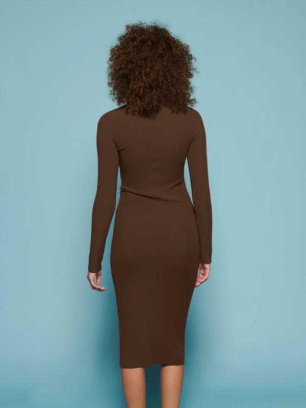 Phoebe Turtleneck Dress