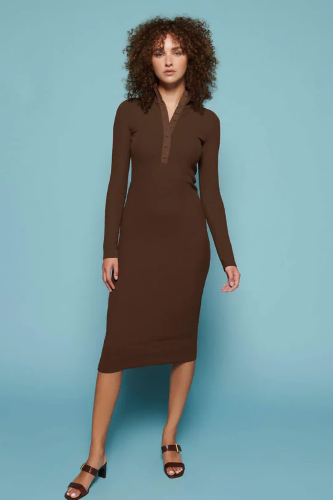 Phoebe Turtleneck Dress